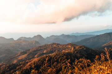 浦东新区各镇gdp排名